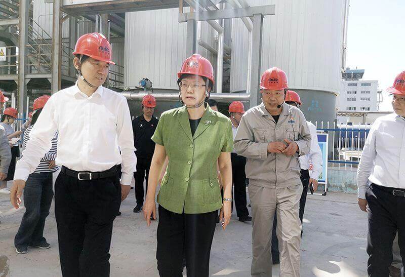 2019年5月23日，，，全国政协副主席李斌（左二）到中原彩天下官网调研